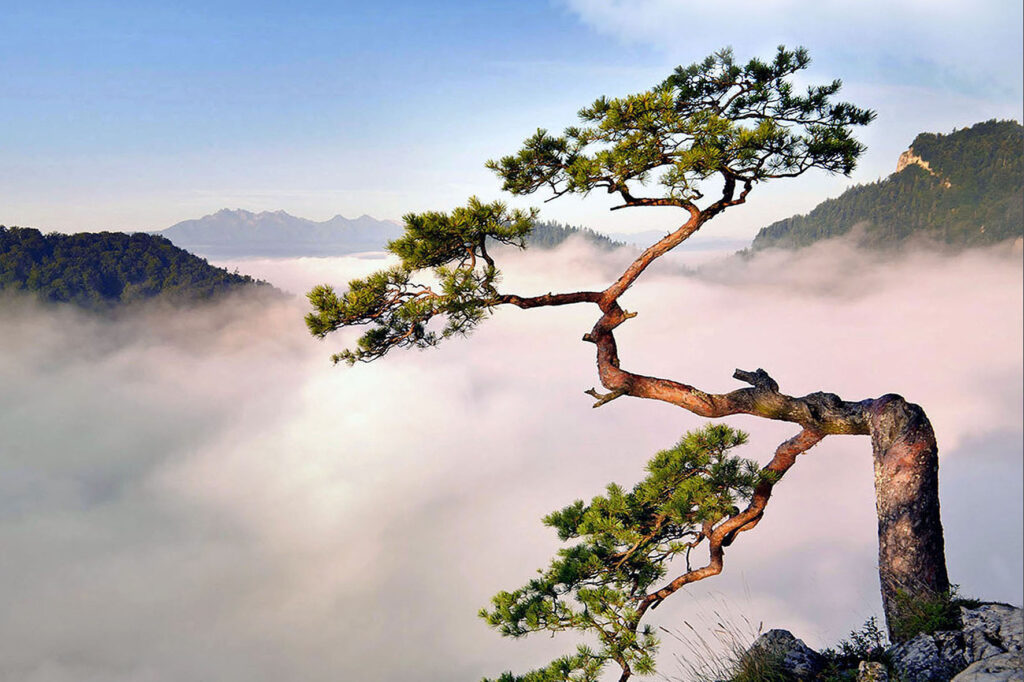 Nocleg Sromowce Niżne