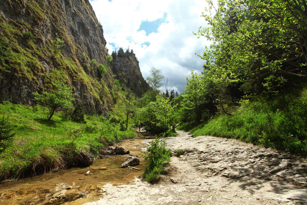 Nocleg Sromowce Niżne